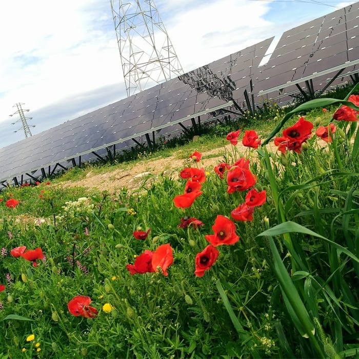 Puissance : 4 MWc
Équivalent en foyers : 2150 foyers
Tonnes de CO2 économisées : 358t/an